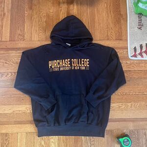 Y2K MV sport‎ Purchase College Hoodie